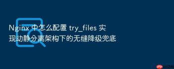 Nginx 中怎么配置 try_files 实现动静分离架构下的无缝降级兜底