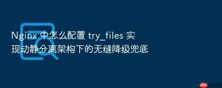 Nginx 中怎么配置 try_files 实现动静分离架构下的无缝降级兜底