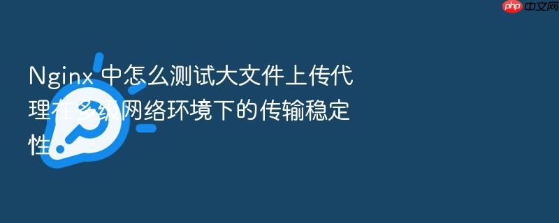 nginx 中怎么测试大文件上传代理在多级网络环境下的传输稳定性