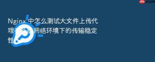 nginx 中怎么测试大文件上传代理在多级网络环境下的传输稳定性