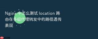 nginx 中怎么测试 location 路由在多级代理转发中的路径透传表现