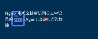 Nginx 中怎么排查访问日志中记录的 User-Agent 出现乱码的故障