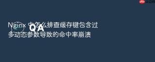 Nginx 中怎么排查缓存键包含过多动态参数导致的命中率崩溃