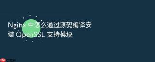 nginx 中怎么通过源码编译安装 openssl 支持模块