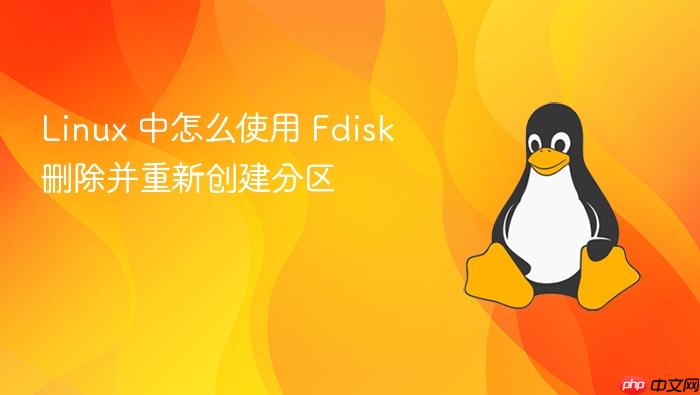 linux 中怎么使用 fdisk 删除并重新创建分区