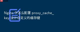 nginx 中怎么配置 proxy_cache_key 设计自定义的缓存键