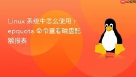 linux 系统中怎么使用 repquota 命令查看磁盘配额报表