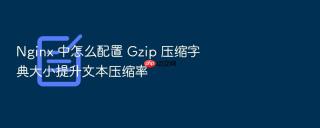 Nginx 中怎么配置 Gzip 压缩字典大小提升文本压缩率