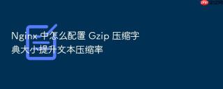 nginx 中怎么配置 gzip 压缩字典大小提升文本压缩率