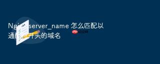 nginx server_name 怎么匹配以通配符开头的域名