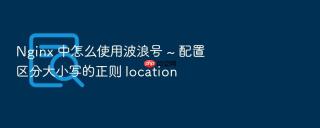 Nginx 中怎么使用波浪号 ~ 配置区分大小写的正则 location