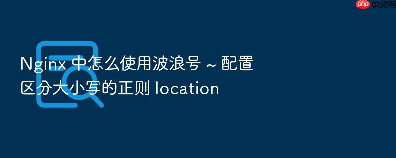 nginx 中怎么使用波浪号 ~ 配置区分大小写的正则 location