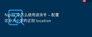 nginx 中怎么使用波浪号 ~ 配置区分大小写的正则 location