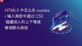 html5 中怎么在 number 输入类型中通过 css 隐藏烦人的上下增减微调箭头按钮