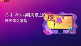 js 中 vite 构建高级进阶技巧怎么掌握