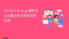 html5 中 lang 属性怎么设置才能支持多语言切换