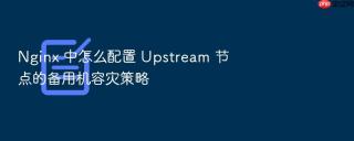 nginx 中怎么配置 upstream 节点的备用机容灾策略