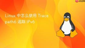 linux 中怎么使用 tracepath6 追踪 ipv6