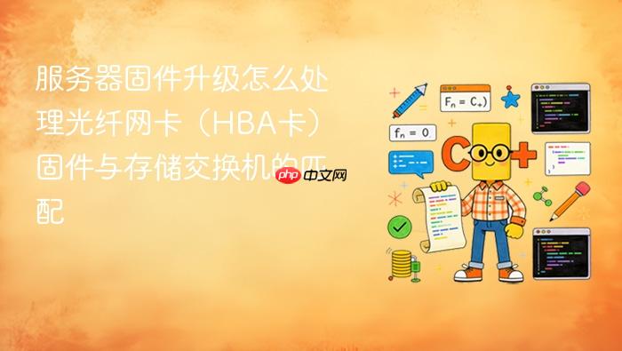 服务器固件升级怎么处理光纤网卡（hba卡）固件与存储交换机的匹配