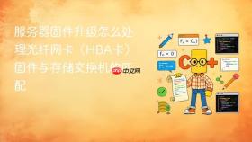 服务器固件升级怎么处理光纤网卡（hba卡）固件与存储交换机的匹配
