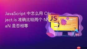 javascript 中怎么用 object.is 准确比较两个 nan 是否相等