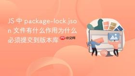 js 中 package-lock.json 文件有什么作用为什么必须提交到版本库