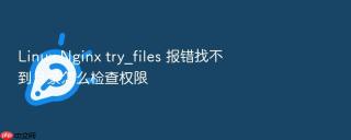 Linux Nginx try_files 报错找不到目录怎么检查权限