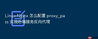 Linux Nginx 怎么配置 proxy_pass 实现后端服务反向代理