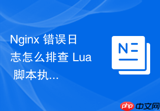 nginx 错误日志怎么排查 lua 脚本执行异常导致的报错日志