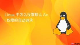 linux 中怎么设置默认 acl 权限的自动继承