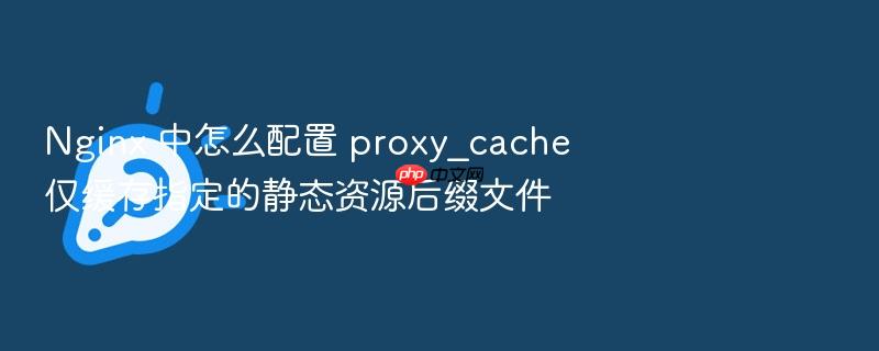 nginx 中怎么配置 proxy_cache 仅缓存指定的静态资源后缀文件