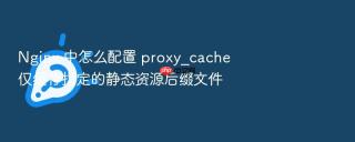 nginx 中怎么配置 proxy_cache 仅缓存指定的静态资源后缀文件