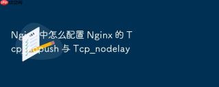 Nginx 中怎么配置 Nginx 的 Tcp_nopush 与 Tcp_nodelay