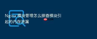 nginx 模块管理怎么排查模块引起的内存泄漏