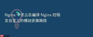 Nginx 中怎么在编译 Nginx 时指定自定义的模块安装路径