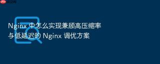 nginx 中怎么实现兼顾高压缩率与低延迟的 nginx 调优方案