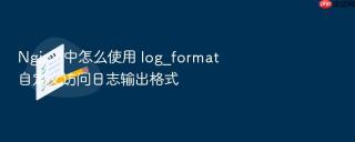 Nginx 中怎么使用 log_format 自定义访问日志输出格式