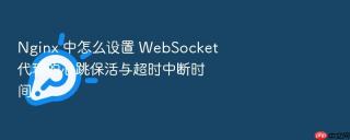 nginx 中怎么设置 websocket 代理的心跳保活与超时中断时间