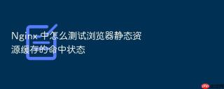nginx 中怎么测试浏览器静态资源缓存的命中状态