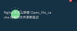 nginx 中怎么排查 open_file_cache 导致的文件更新延迟