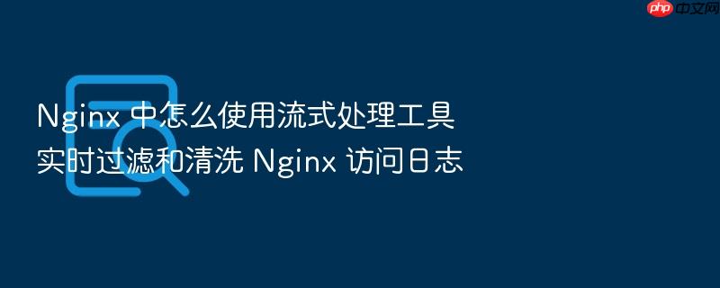 nginx 中怎么使用流式处理工具实时过滤和清洗 nginx 访问日志