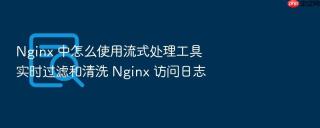 nginx 中怎么使用流式处理工具实时过滤和清洗 nginx 访问日志