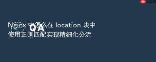 nginx 中怎么在 location 块中使用正则匹配实现精细化分流