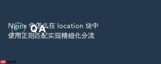 Nginx 中怎么在 location 块中使用正则匹配实现精细化分流