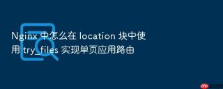 Nginx 中怎么在 location 块中使用 try_files 实现单页应用路由