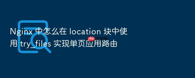 nginx 中怎么在 location 块中使用 try_files 实现单页应用路由
