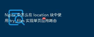 nginx 中怎么在 location 块中使用 try_files 实现单页应用路由
