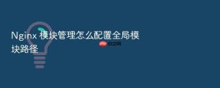 nginx 模块管理怎么配置全局模块路径