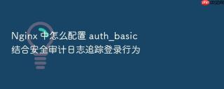 nginx 中怎么配置 auth_basic 结合安全审计日志追踪登录行为