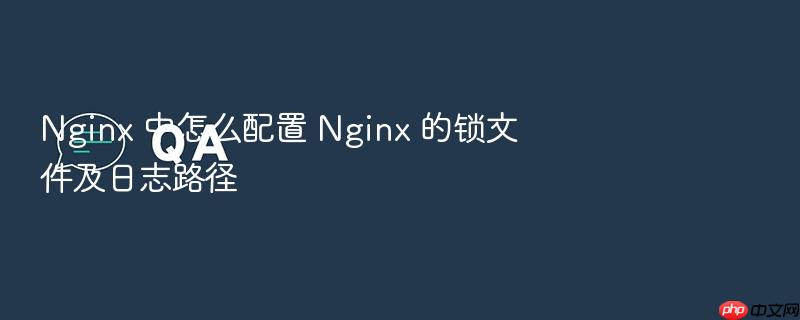 nginx 中怎么配置 nginx 的锁文件及日志路径